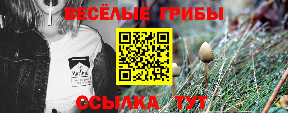 Галлюциногенные грибы ЛСД Лысьва