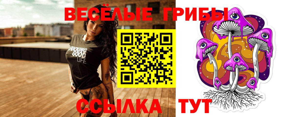 Лысьва  Псилоцибиновые грибы MAGIC MUSHROOMS  Вход с VPN 